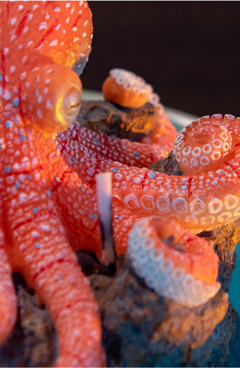 Southlake gifts Octopus on Reef Candle, Alternate, color, Bright Coral / Turquoise