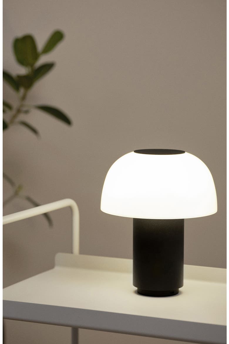 Harvest Moon Indoor/Outdoor Lamp, Alternate, color, BLACK