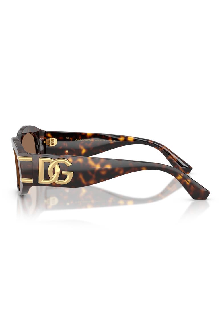 55mm Oval Sunglasses, Alternate, color, HAVANA / DARK BROWN