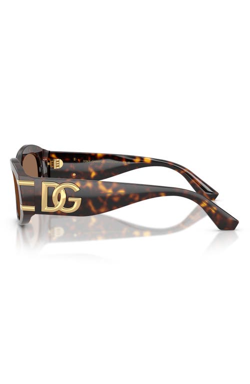 Dolce & Gabbana Dg Logo-plaque Sunglasses In Havana/dark Brown