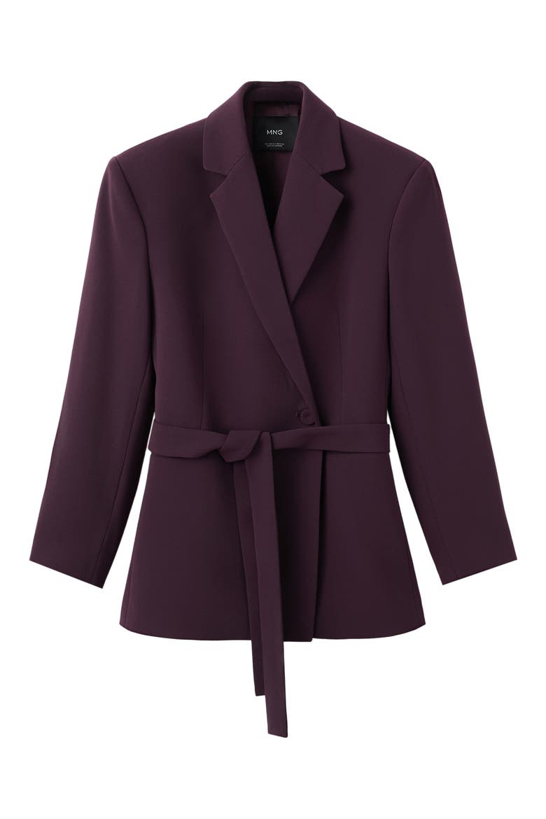 Iguana One Button Blazer, Main, color, MAROON