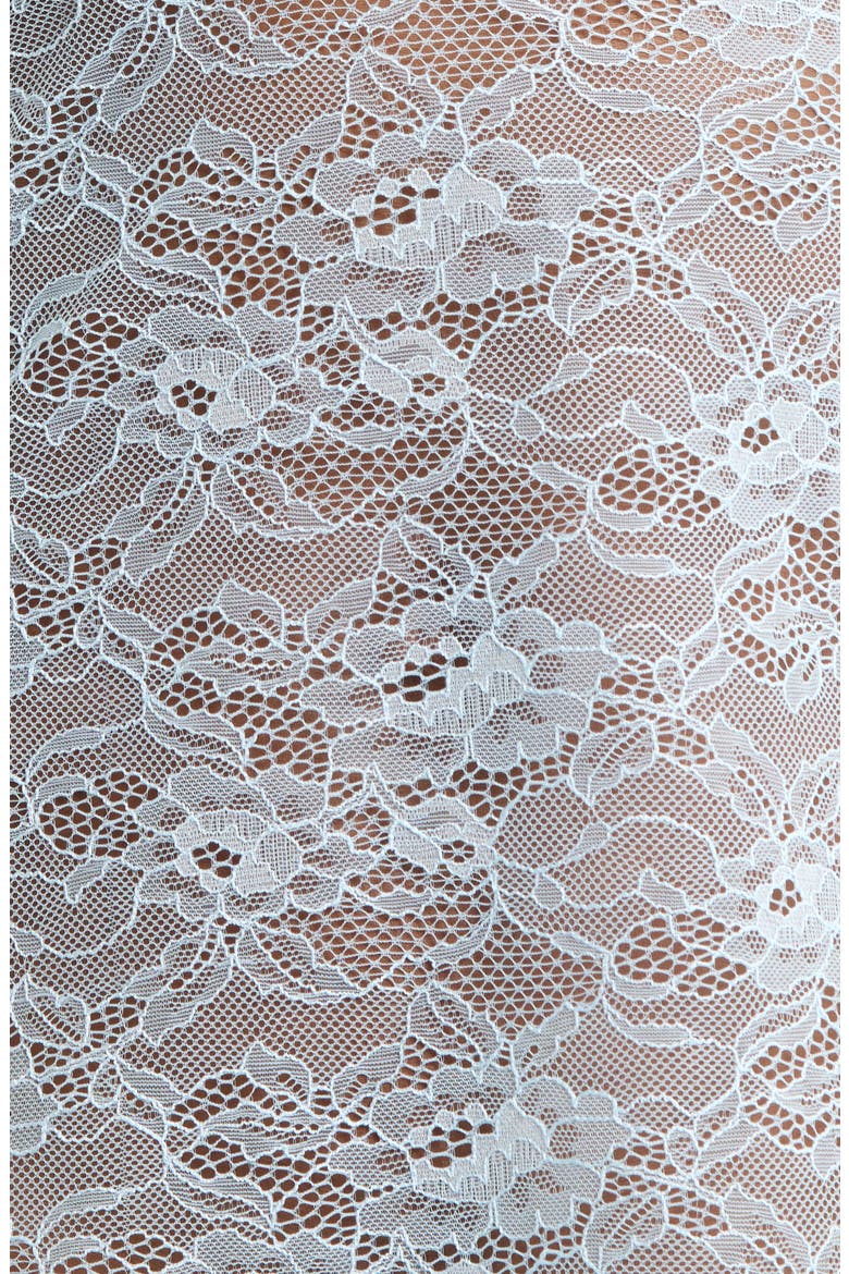Embroidered Lace Slip, Alternate, color, POWDER BLUE
