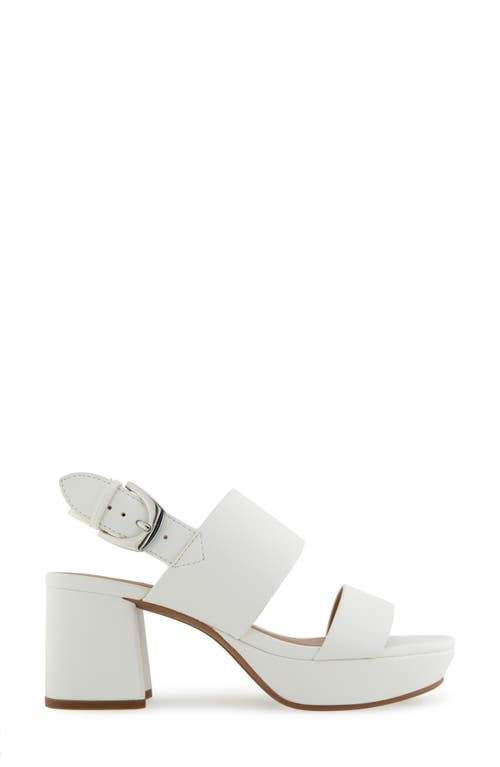 AEROSOLES AEROSOLES CAMILIA PLATFORM SANDAL 