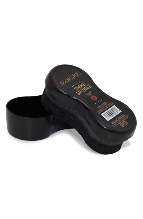 Rochester Premium Instant Shine Sponge In Black