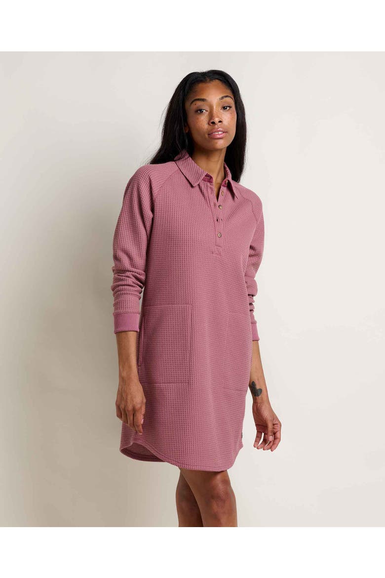 Bitterroot Long Sleeve Dress, Main, color, Foxglove