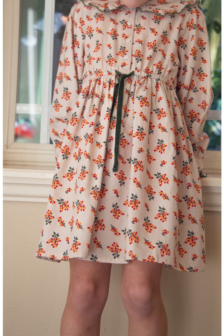 Little Kid Adelaide Velvet Tie Dress, Alternate, color, Autumn Floral