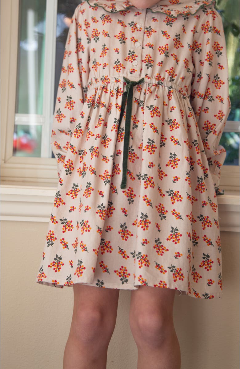Beet World Little Kid Adelaide Velvet Tie Dress, Alternate, color, Autumn Floral