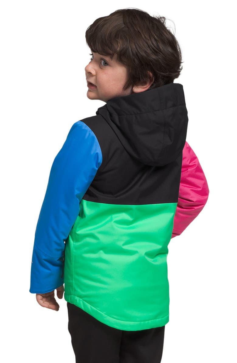 The North Face Kids' Freedom Insulated Waterproof Hooded Jacket, Alternate, color, 