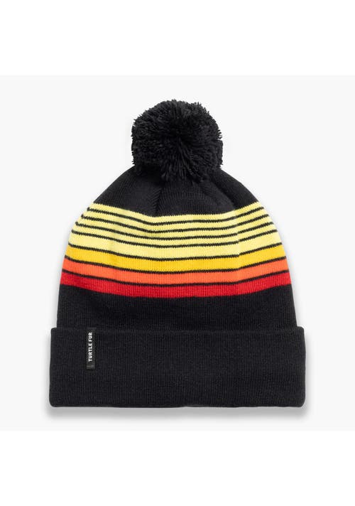 Turtle Fur Kids'  Youth Omega Winter Hat In Black