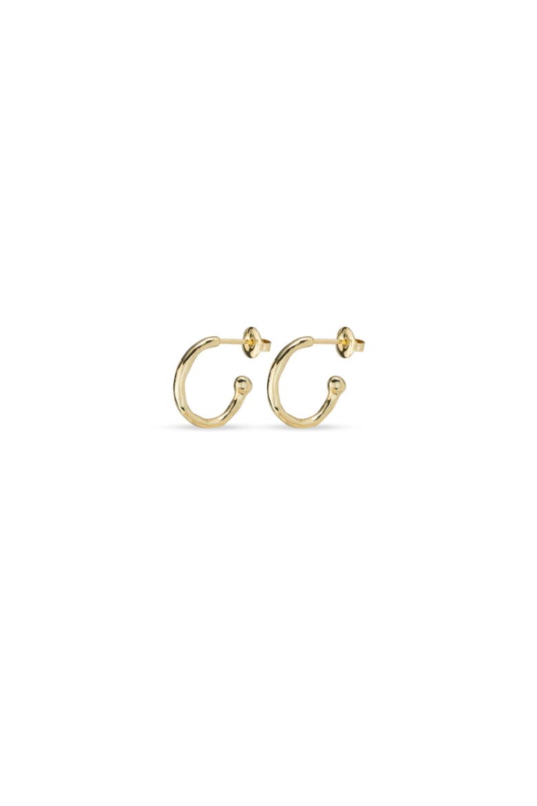 Hoop Shaped Earrings, Alternate, color, Gold