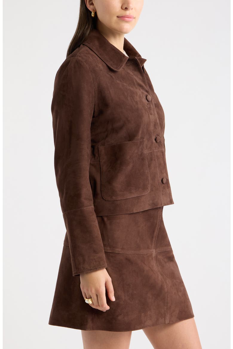 Suede Leather Jacket, Alternate, color, BROWN CHICORY