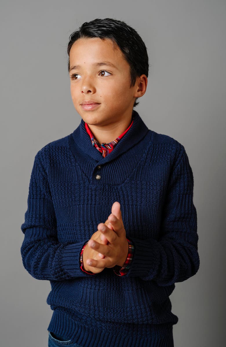 Hope & Henry Baby Boys' Organic Textured Shawl Collar Sweater, Infant, Alternate, color, Navy Glen Plaid Texture