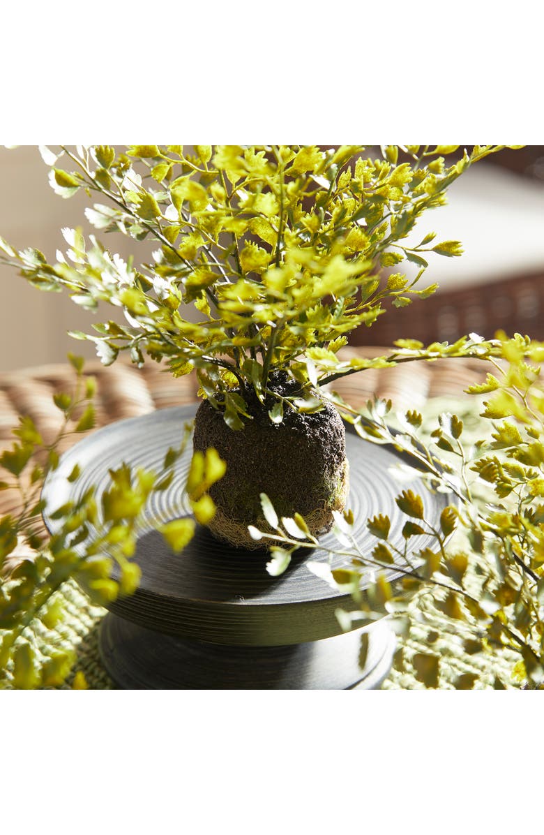 Napa Home & Garden Maidenhair Drop-Ins Set of 3, Alternate, color, Green