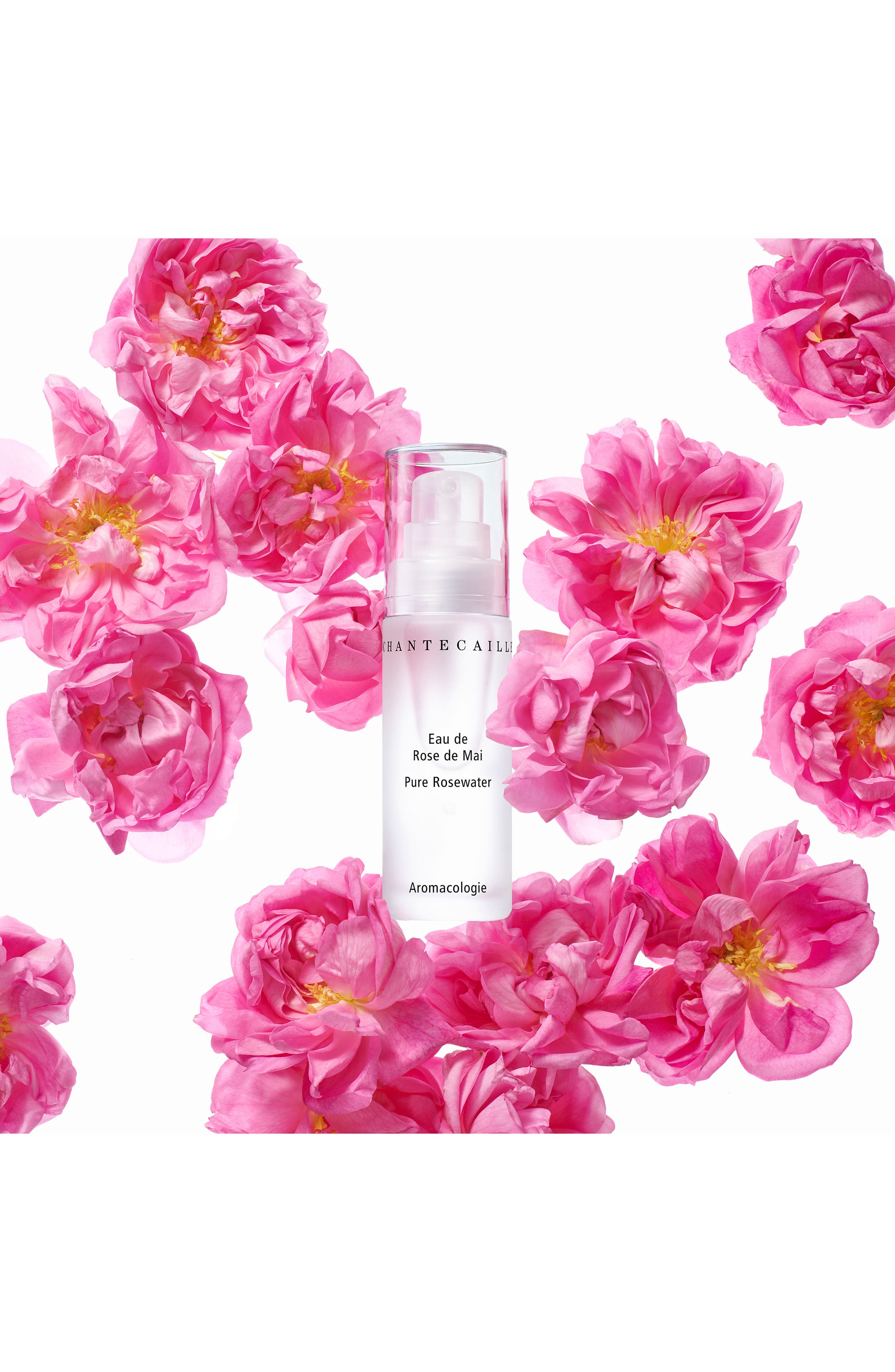Chantecaille Pure Rosewater Face Mist (Women) | Nordstrom