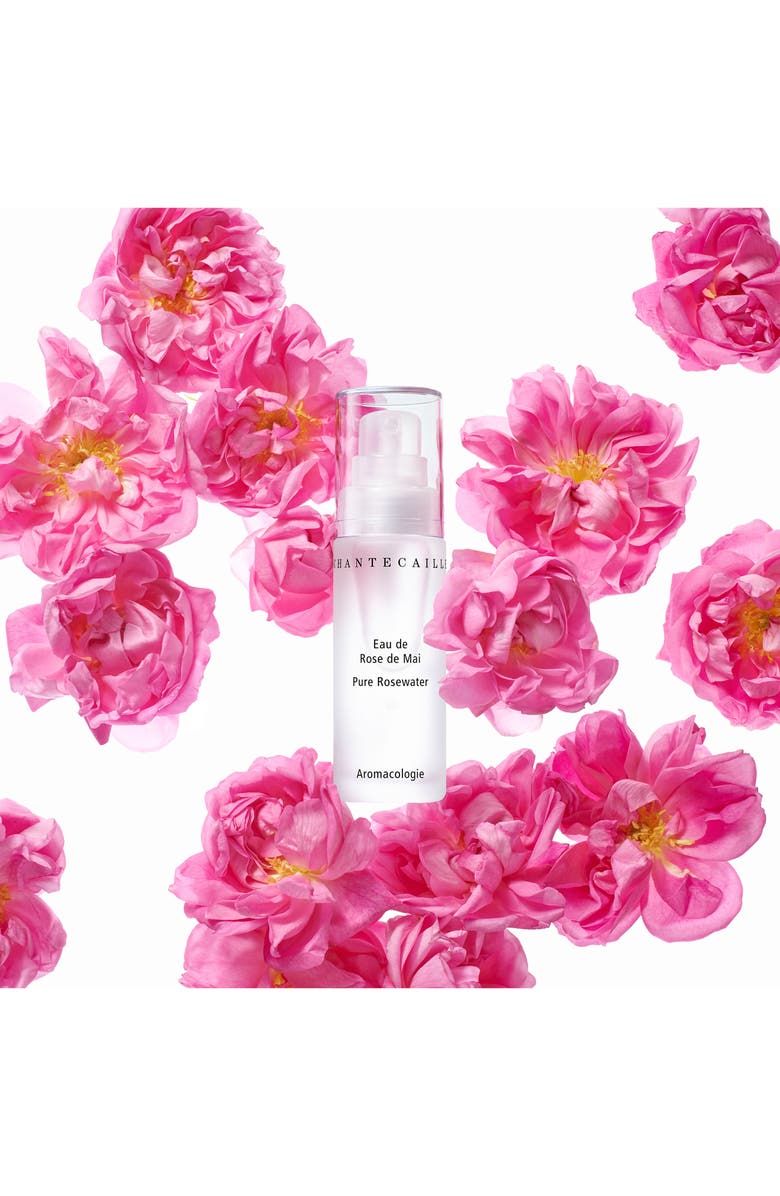 Chantecaille Pure Rosewater Face Mist, Alternate, color, 