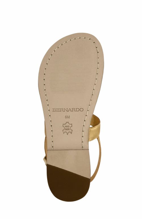 Shop Bernardo Footwear Maverick 2 Toe Ring Sandal In Gold