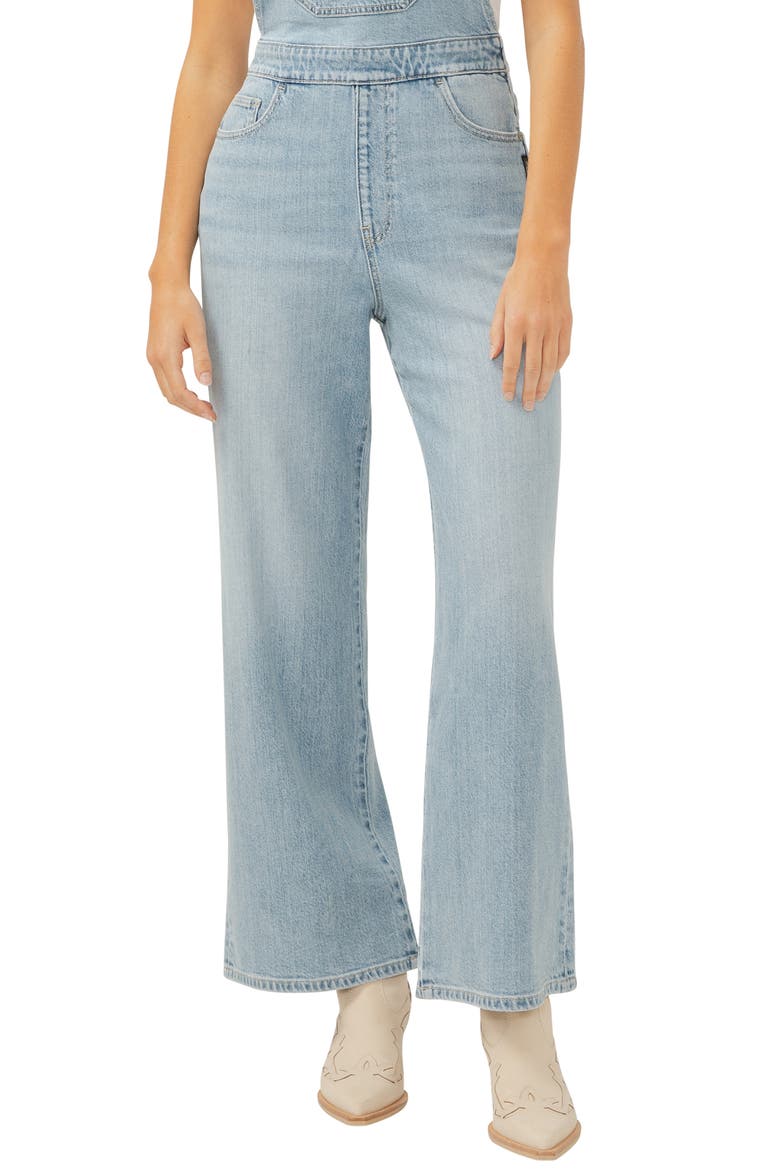 Wide Leg Denim Overalls, Alternate, color, INDIGO