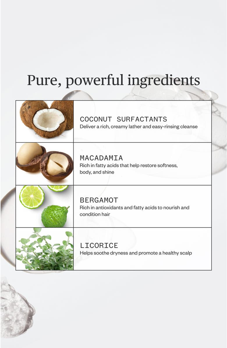 Ursa Major Go Easy Shampoo, Alternate, color, Silver