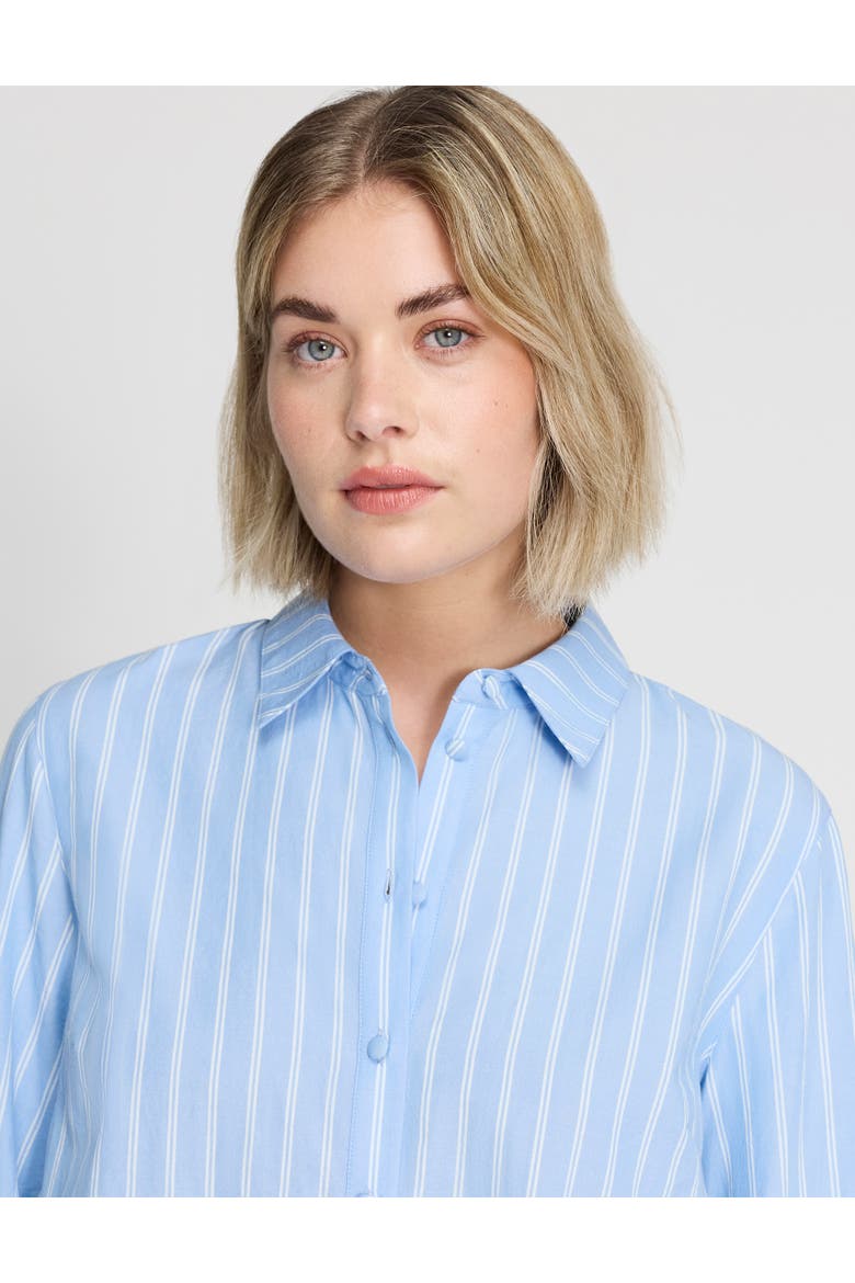 Sydnee Stripe Cotton Shirt, Alternate, color, Blue Stripe Emb