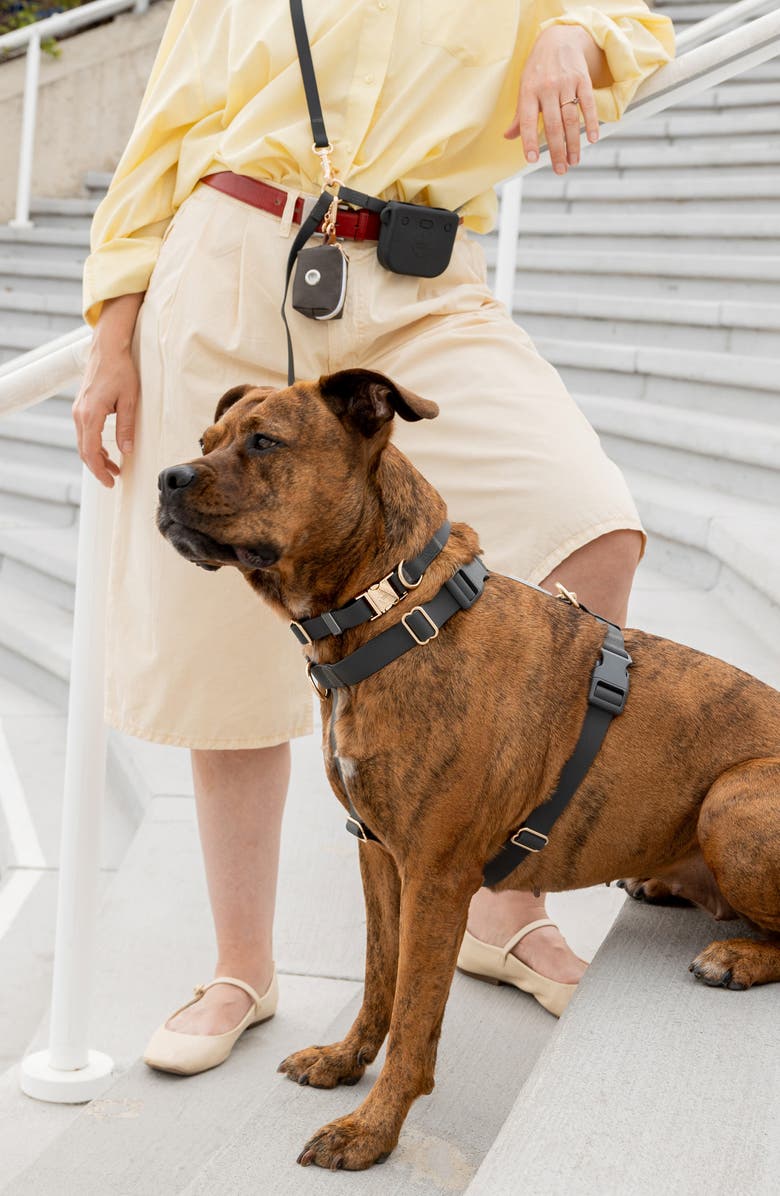 SUNNY TAILS Dog Treat Pouch, Alternate, color, Ember Black