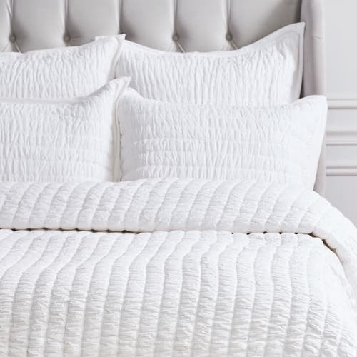 Elisabeth York 20" X 26" Elodie Dove Cotton Standard Sham In White