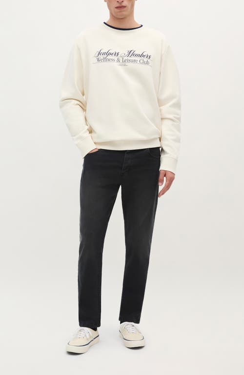 Scalpers Member Sweater In Neutral