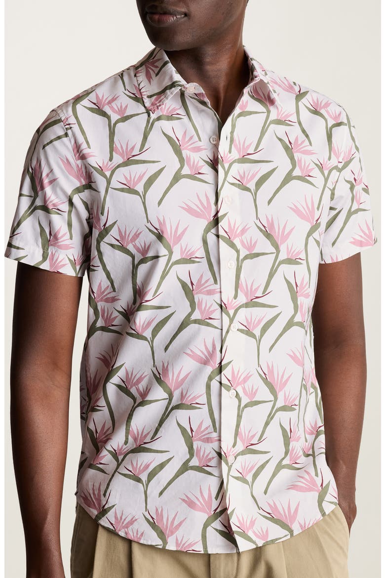 Riviera Slim Fit Point Collar Short Sleeve Stretch Cotton Button-Up Shirt, Main, color, BIRDS OF PARADISE