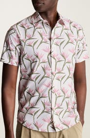 Bonobos Riviera Slim Fit Point Collar Short Sleeve Stretch Cotton Button-Up Shirt