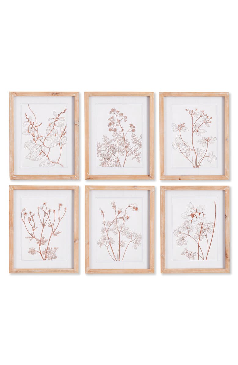 Napa Home & Garden Botanicals In Blush Prints Set of 6, Main, color,