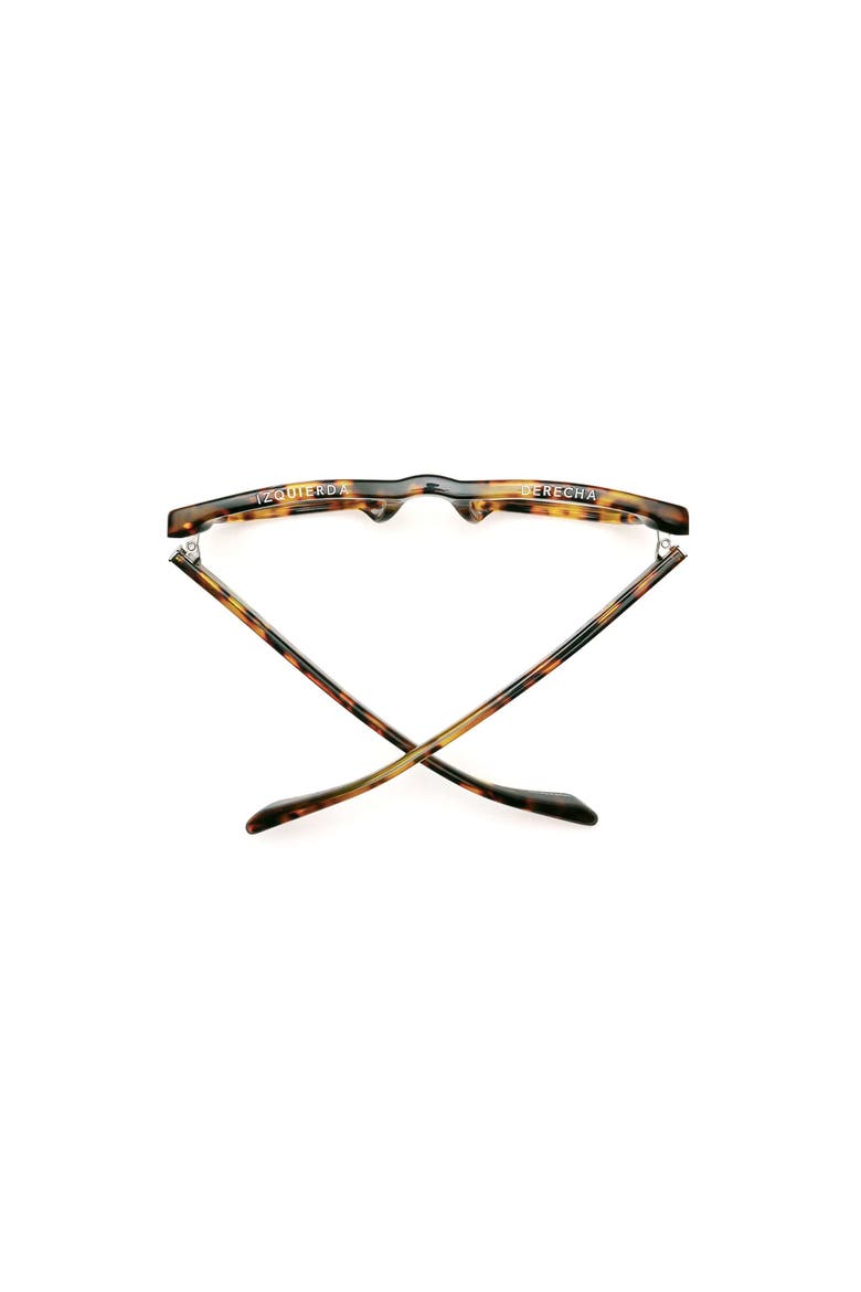 D28 | Reading Glasses, Alternate, color, Terrapin