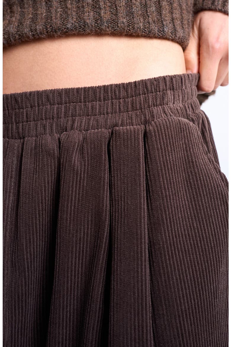Cotton Corduroy Pants, Alternate, color, BROWN