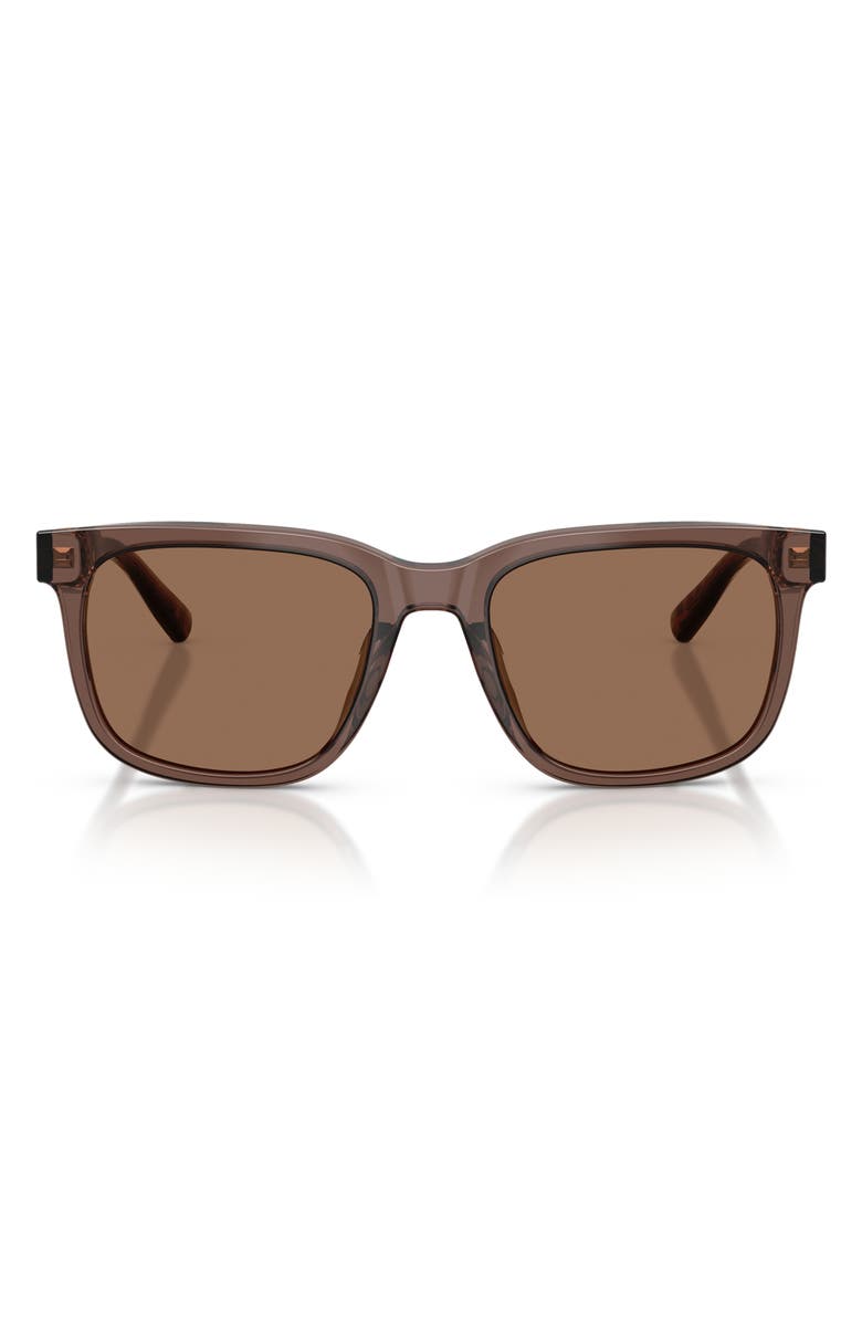 Brooks Brothers 55mm Square Sunglasses, Main, color, Brown / Brown