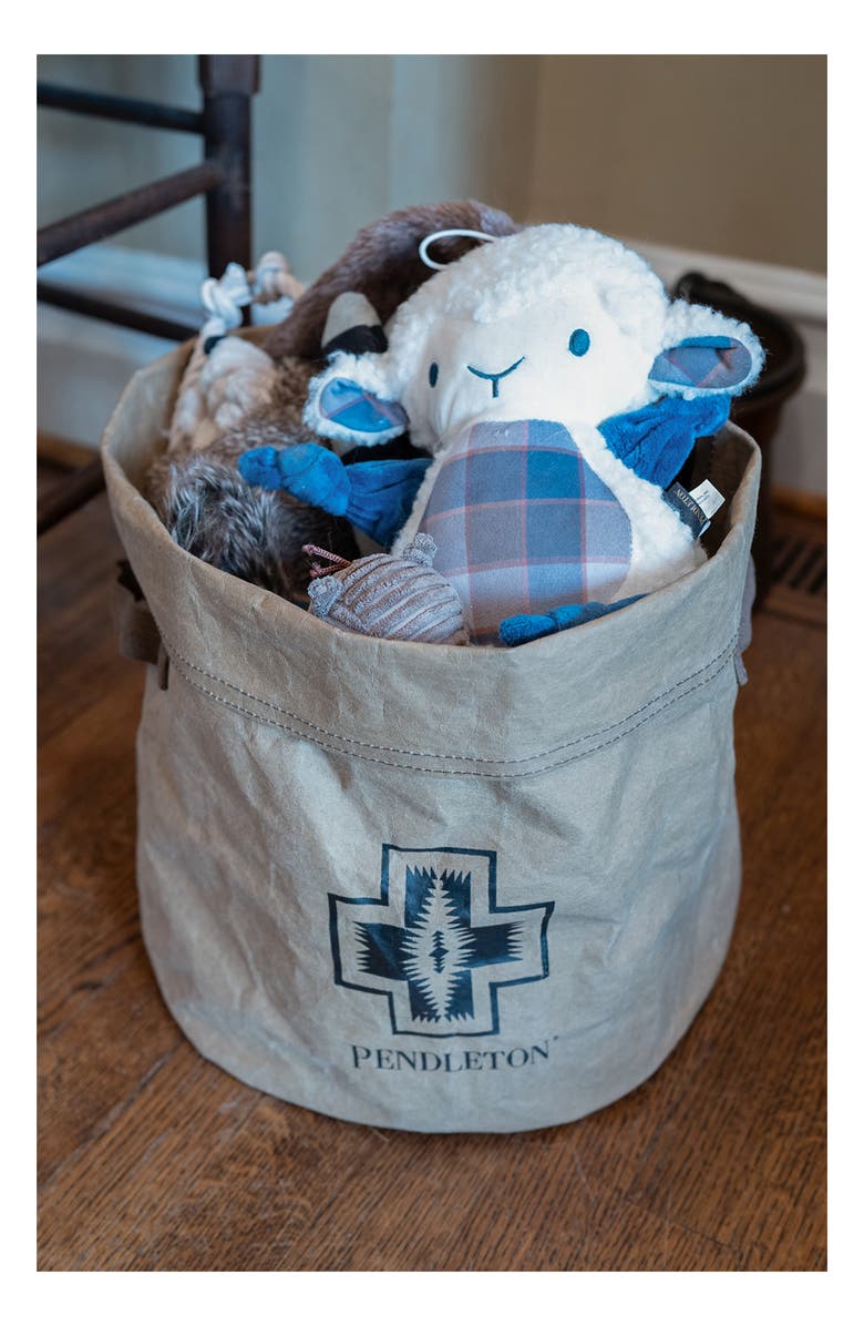 Pendleton Washable Paper Pet Toy Bucket, Alternate, color, Gray