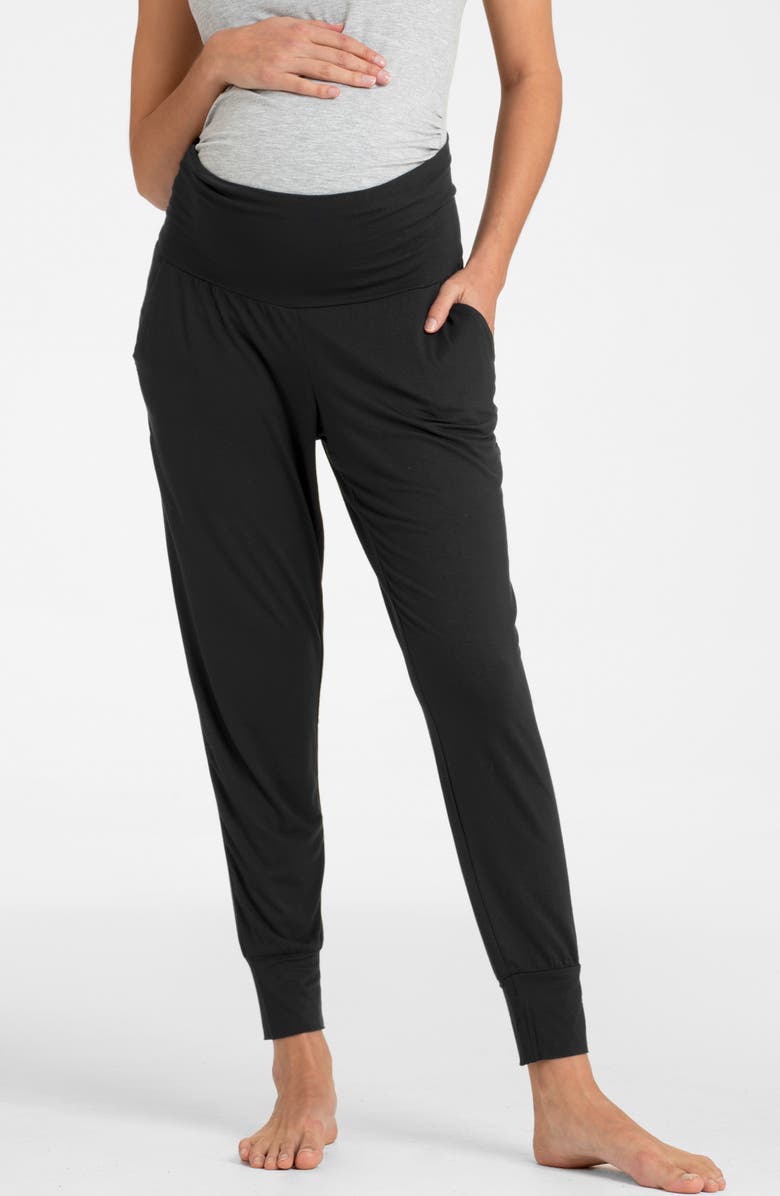 Seraphine Short Sleeve Maternity/Nursing Longewear Set, Alternate, color, 