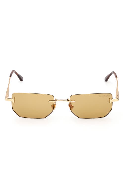 Tom Ford Ethan 53mm Geometric Sunglasses In Green