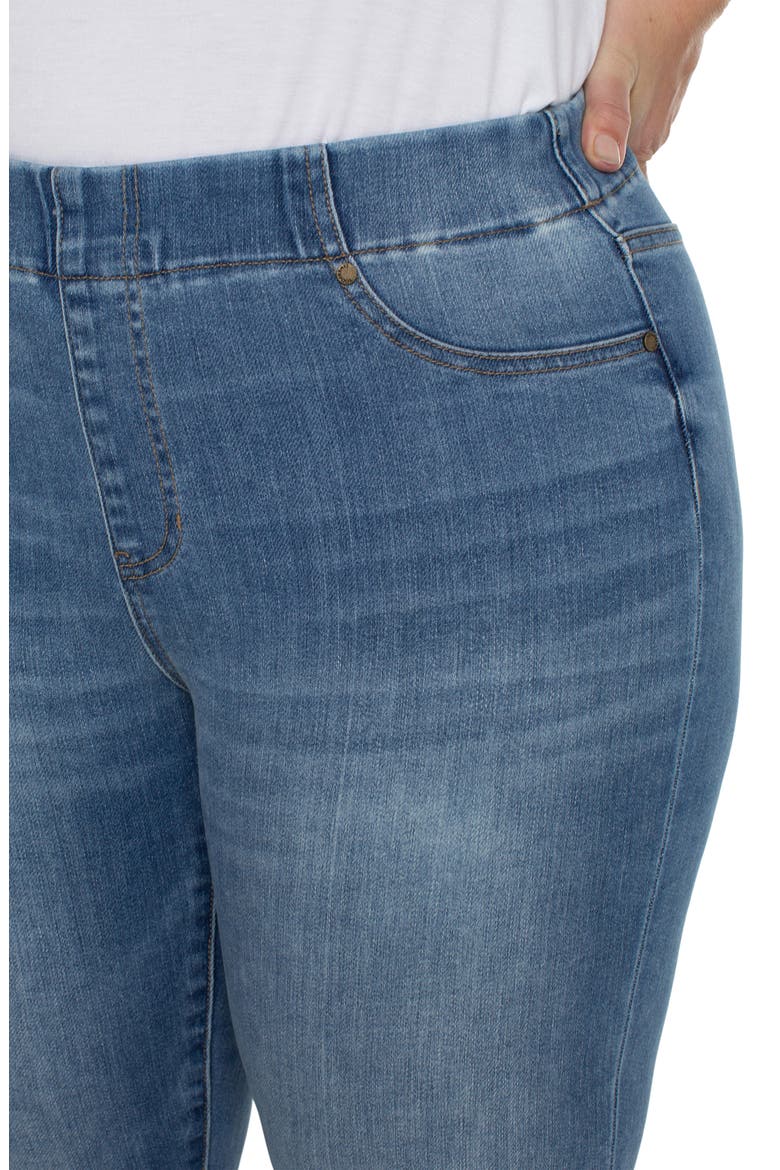Chloe Wide Cuff Crop Jeans, Alternate, color, CANYONLANDS