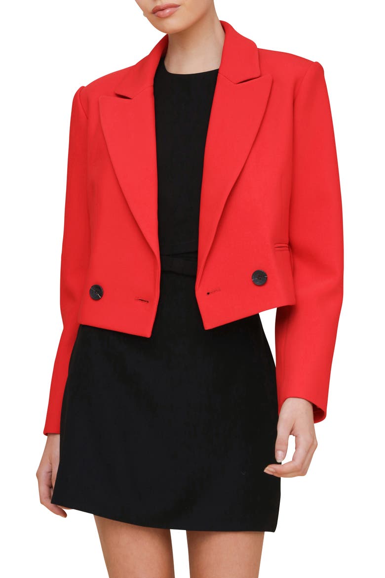 Boxy Crop Blazer, Main, color, RED