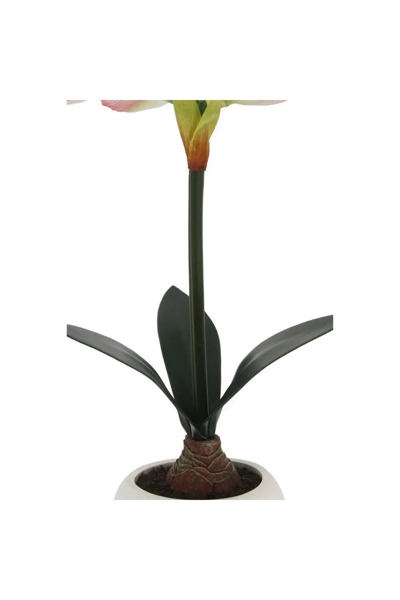 24" White & Pink Amaryllis Bulb in Round Pot, Alternate, color, White & Pink