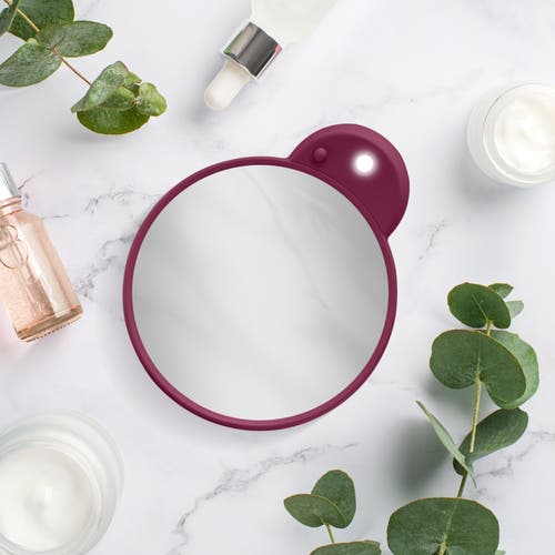 Zadro Lighted Compact Mirror With 10x Magnification & Retractable Suction Cups In Purple