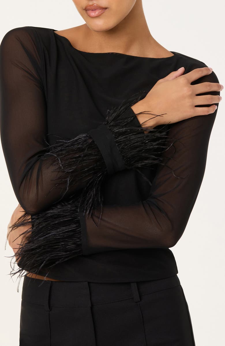 ASTR the Label Brisa Feather Trim Long Sleeve Top, Alternate, color, Black