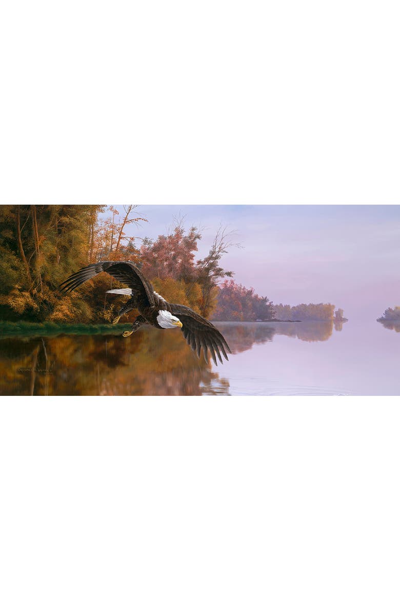 Lake Patrol 1000 piece Jigsaw Puzzle for Adults, Alternate, color, Multicolor