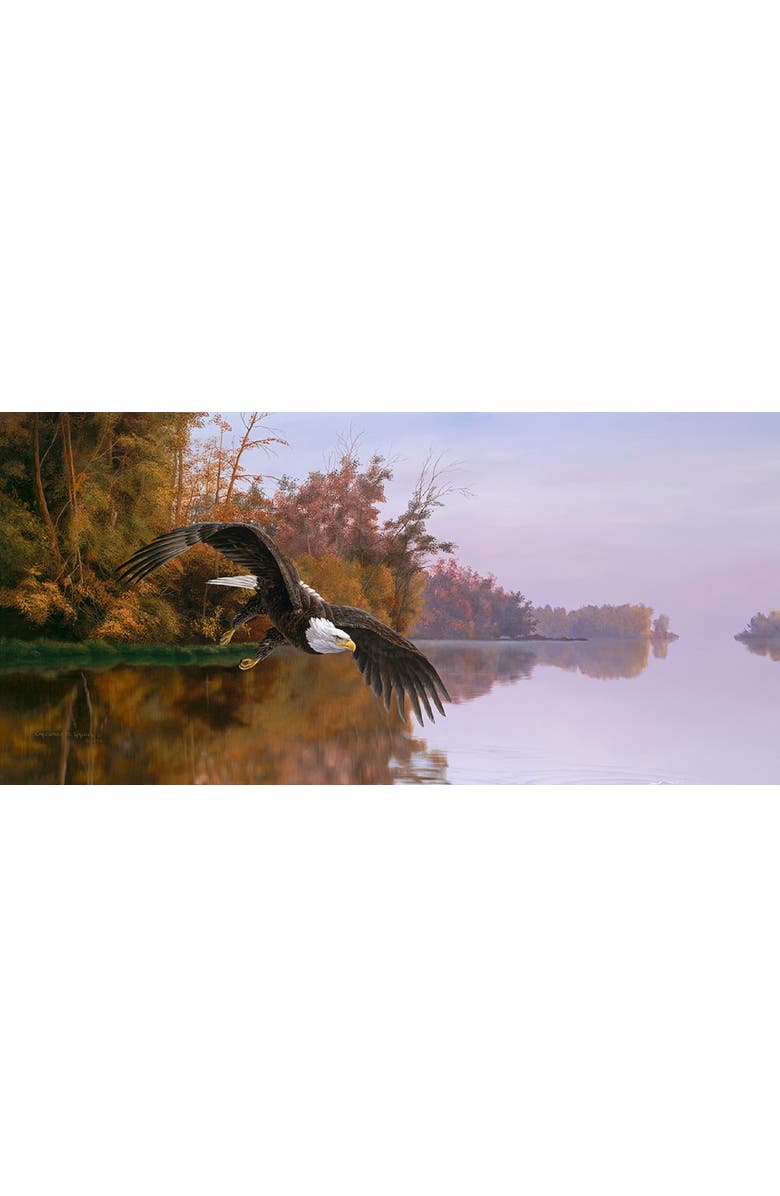 Sunsout Lake Patrol 1000 piece Jigsaw Puzzle for Adults, Alternate, color, Multicolor