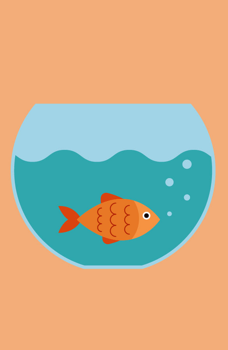 Pink Picasso Kits Gertie Goldfish Paint by Numbers Kit, Alternate, color, Orange / Teal