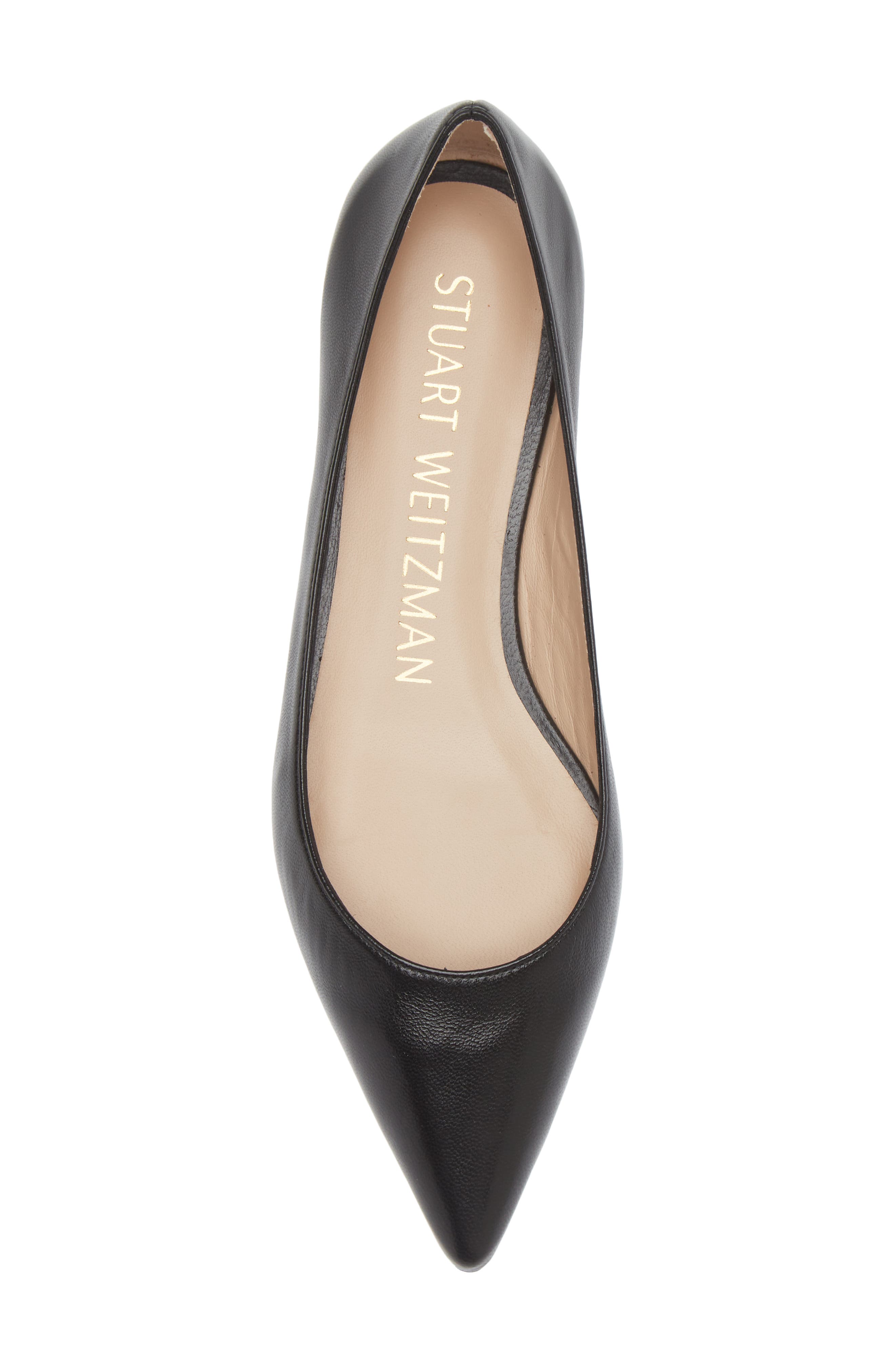 Stuart Weitzman Emilia Pointed Toe Flat, Alternate, color, Black Leather