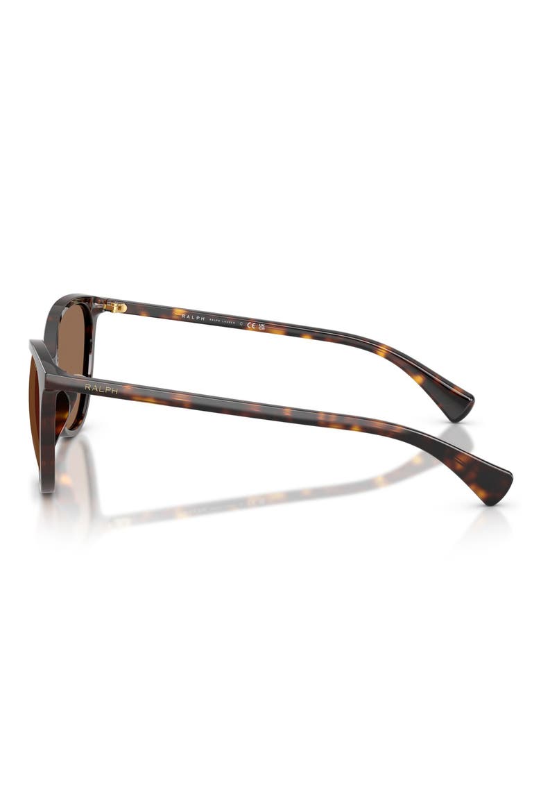 57mm Phantos Sunglasses, Alternate, color, DARK HAVANA / BROWN