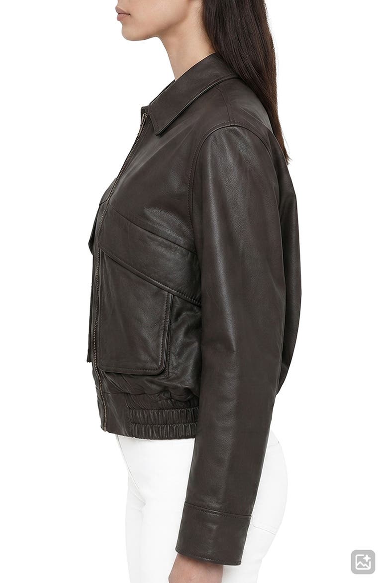 Leather Jacket, Alternate, color, DARK BROWN