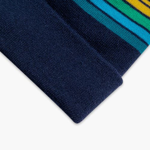 Turtle Fur Youth Omega Winter Hat In Blue