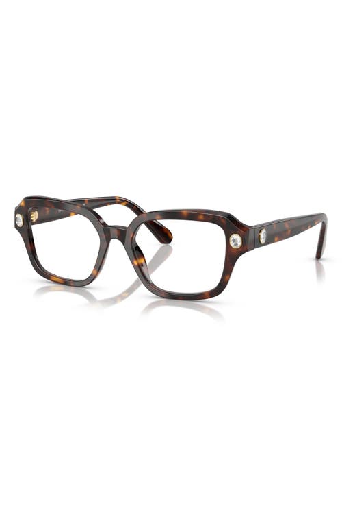Swarovski 54mm Pillow Optical Glasses In Havana