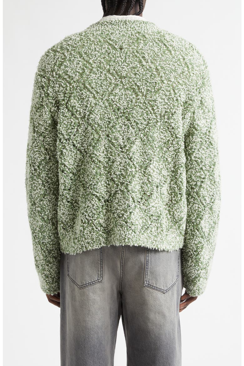 Abain Wool & Mohair Blend Bouclé Cardigan, Alternate, color, ZOYSIA FIELD