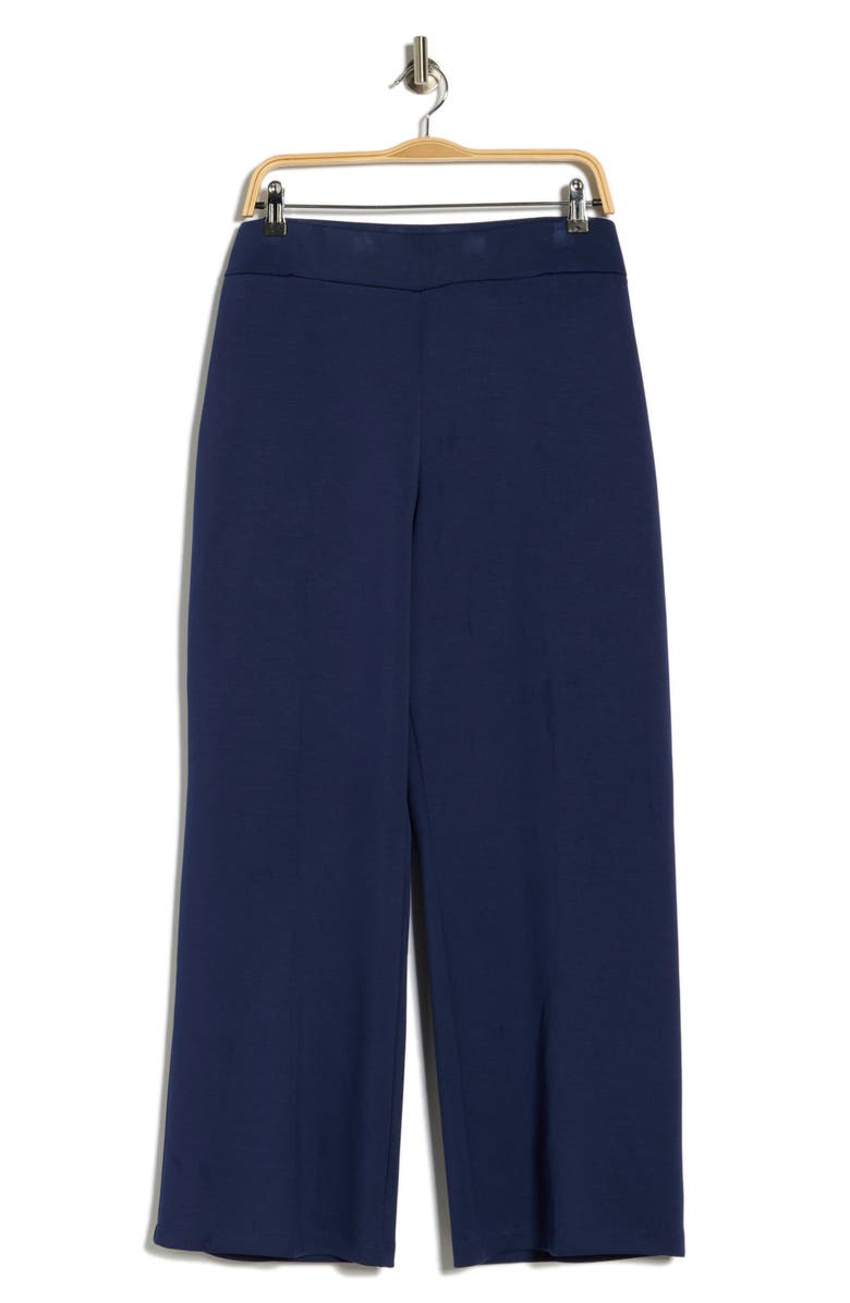 RUBY RD Scuba Knit Pants, Alternate, color, Deep Blue